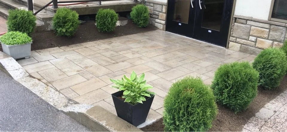 Patio en pavé uni